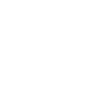 Logo - YS Park